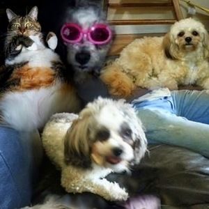 Meet your Posher, Randy and pearl